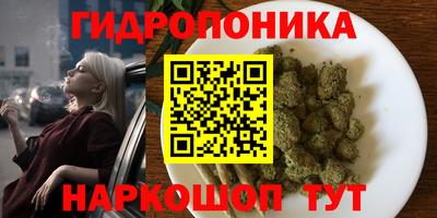 гашик Будённовск