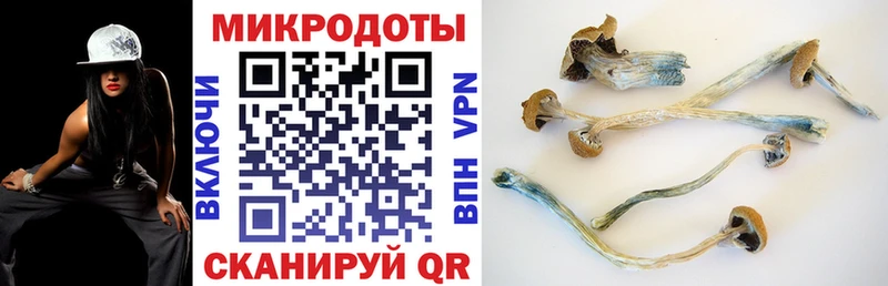 kraken вход  Печора  Галлюциногенные грибы GOLDEN TEACHER  сколько стоит 