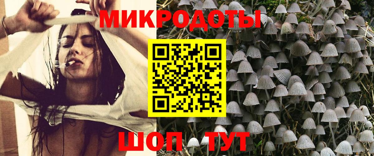 Псилоцибиновые грибы Cubensis Печора