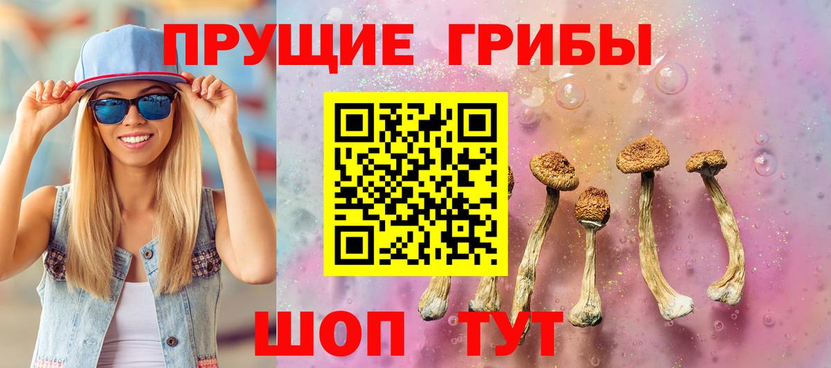 как найти закладки  Псилоцибиновые грибы мухоморы  Вход с VPN  Печора 